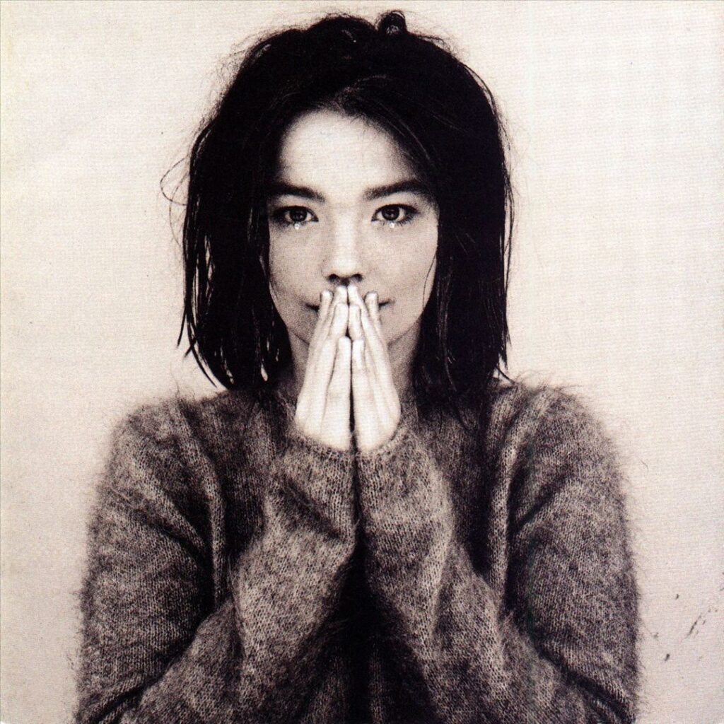 Björk – C’è di più nella vita che questo Albumart Cover
